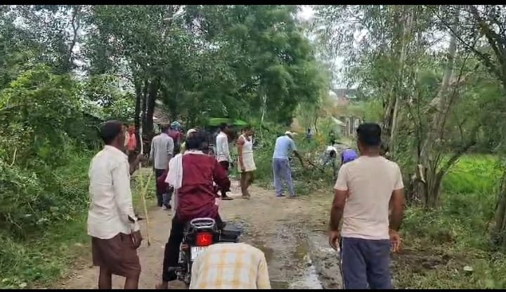 उमरान रायपुर में सड़क पर जल भराव झाड़ियां गद्दा देखभाल साफ सफाई