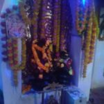 हर्रई सिंगौरगढ़ मैं नागदेव महाराज का एक विशाल मंदिर है जहां भक्तों की उम्र रहेगी