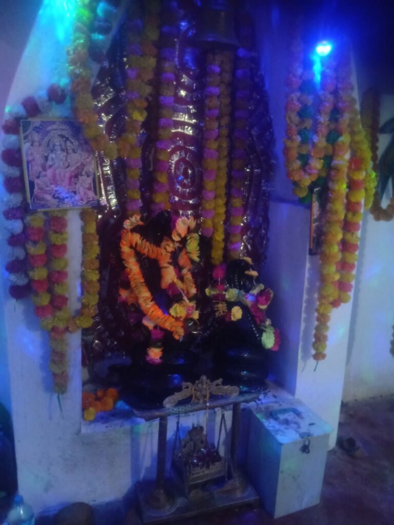हर्रई सिंगौरगढ़ मैं नागदेव महाराज का एक विशाल मंदिर है जहां भक्तों की उम्र रहेगी