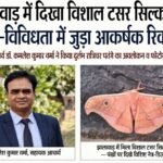 झालावाड़ में दिखी विशाल टसर सिल्क मॉथ, जैव-विविधता के लिहाज से महत्वपूर्ण रिकॉर्ड सहायक आचार्य डॉ. कमलेश कुमार वर्मा ने किया दुर्लभ रात्रिचर पतंगे का अवलोकन व फोटोग्राफिक रिकॉर्ड