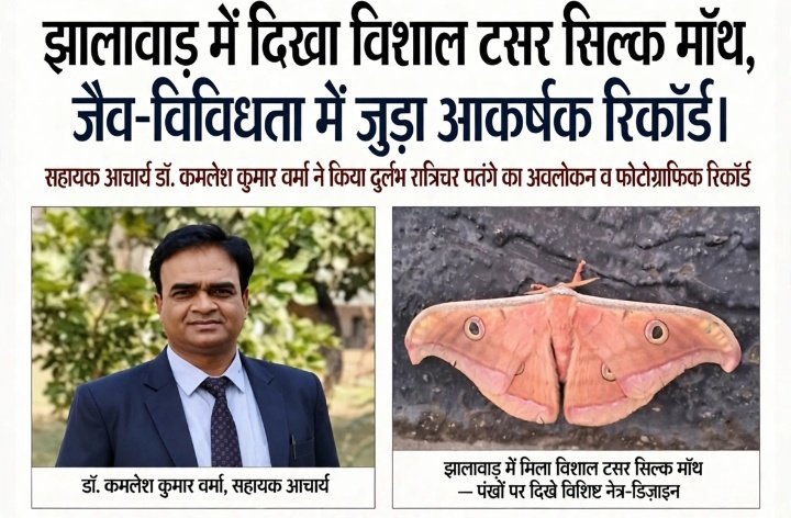 झालावाड़ में दिखी विशाल टसर सिल्क मॉथ, जैव-विविधता के लिहाज से महत्वपूर्ण रिकॉर्ड सहायक आचार्य डॉ. कमलेश कुमार वर्मा ने किया दुर्लभ रात्रिचर पतंगे का अवलोकन व फोटोग्राफिक रिकॉर्ड