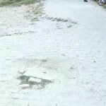 गाजीपुर: सैदपुर तहसील के वार्ड नं० 03 मालवीय नगर में इंटरलॉकिंग सड़क की हालत जर्जर, राहगीरों और कॉलोनीवासियों को हो रही परेशानी