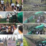 बालाघाट जिले के टाइगर रिजर्व के सूपखार में 100 साल बाद जंगली भैंसों की वापसी, मुख्यमंत्री डॉ. यादव ने बड़े बाड़े में किया स्थानांतरित