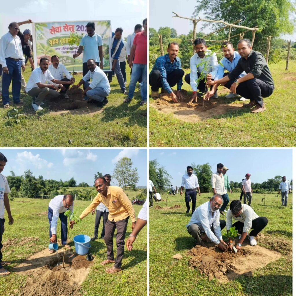 बालाघाट जिले में मलाजखंड के वार्ड क्रमांक-01 करहू में 350 पौधों का रोपण सेवा संकल्प अभियान-2026 के तहत पर्यावरण संरक्षण की पहल, नागरिकों ने पौधों की देखभाल का लिया संकल्प - बालाघाट, मध्य प्रदेश