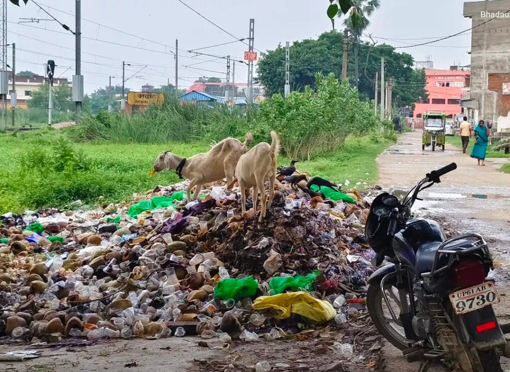 भदौरा रेलवे स्टेशन मार्ग पर लगा कचरे का विशाल अंबार: स्वच्छ भारत अभियान की उड़ रही धज्जियां, प्रशासन बेखबर - GHAZIPUR, उत्तर प्रदेश