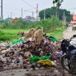 भदौरा रेलवे स्टेशन मार्ग पर लगा कचरे का विशाल अंबार: स्वच्छ भारत अभियान की उड़ रही धज्जियां, प्रशासन बेखबर