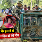 तेंदुए के हमले से महिला सहित दो लोगों की मौत, ग्रामीणों ने आदमखोर तेंदुए को पकड़ा