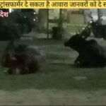 कानपुर नगर थाना चकेरी रामादेवी सदानंद नगर गांधीग्राम खुले में रखा ट्रांसफर दे रहा है आवारा जानवरों को मौत का आमंत्रण