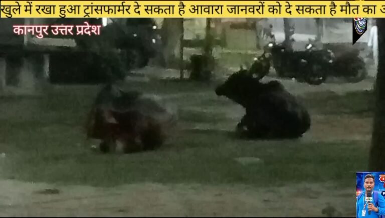 कानपुर नगर थाना चकेरी रामादेवी सदानंद नगर गांधीग्राम खुले में रखा ट्रांसफर दे रहा है आवारा जानवरों को मौत का आमंत्रण