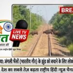 लोको पायलट की संवेदनशीलता: जंगली भैंसों (भारतीय गौर) के झुंड को बचाने के लिए रोकी ट्रेन