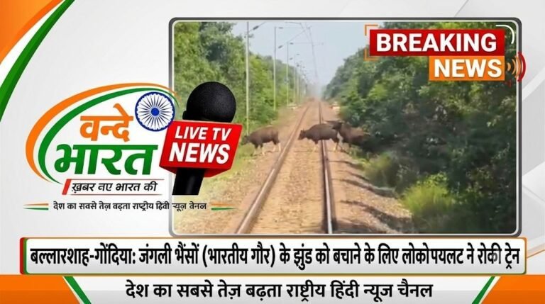 लोको पायलट की संवेदनशीलता: जंगली भैंसों (भारतीय गौर) के झुंड को बचाने के लिए रोकी ट्रेन
