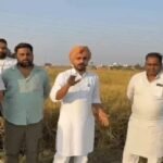 कुरुक्षेत्र में धान खरीद में बड़ा फर्जीवाड़ा: जोहड़ और मकान की छत पर उगाई फसल, भाकियू ने खोला 32 लाख के घोटाले का राज