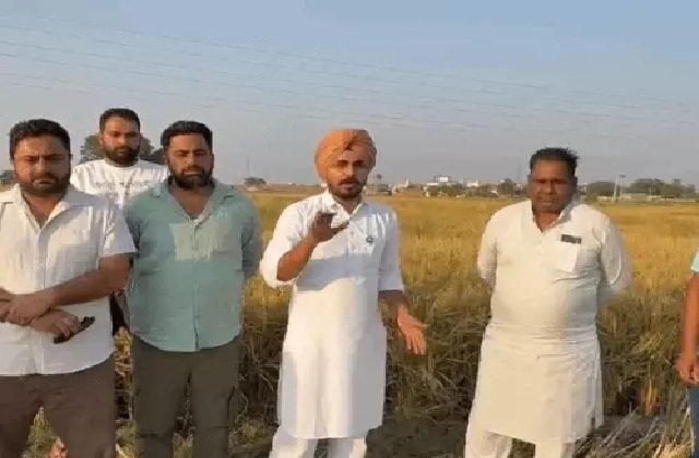 कुरुक्षेत्र में धान खरीद में बड़ा फर्जीवाड़ा: जोहड़ और मकान की छत पर उगाई फसल, भाकियू ने खोला 32 लाख के घोटाले का राज