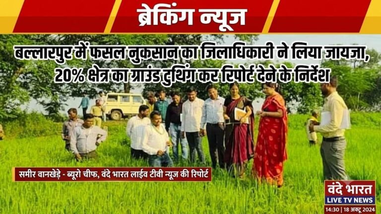 बल्लारपुर में फसल नुकसान का जिलाधिकारी ने लिया जायजा, 20% क्षेत्र का ग्राउंड ट्रुथिंग कर रिपोर्ट देने के निर्देश