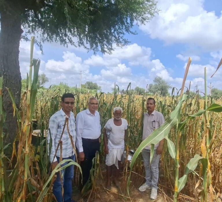 डिजिटल क्रॉप सर्वे (DCS) खरीफ गिरदावरी कार्य में जिला डीडवाना-कुचामन प्रदेश में सर्वोच्च स्थान पर