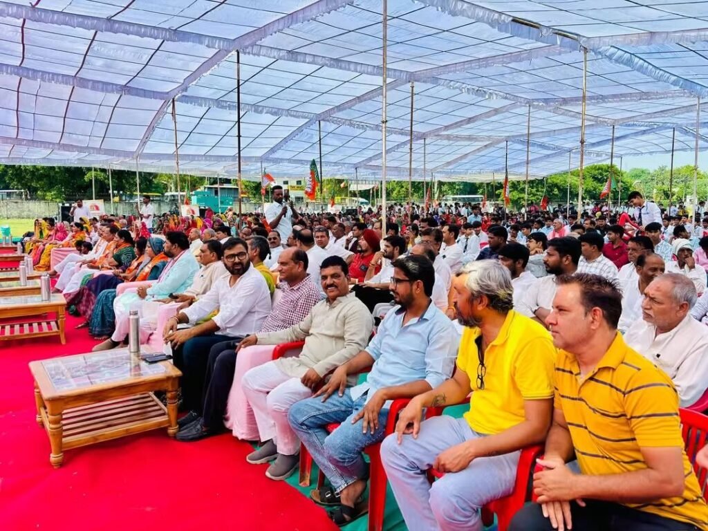 भाजपा कार्यकर्ताओं ने मसाल और दीप ज्योति लेकर निकल सेवा ज्योति यात्रा - SAWAI MADHOPUR, राजस्थान
