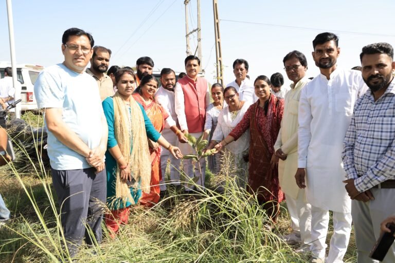 नमो उपवन में पौधारोपण, जनप्रतिनिधियों ने दिया हरियाली का संदेश