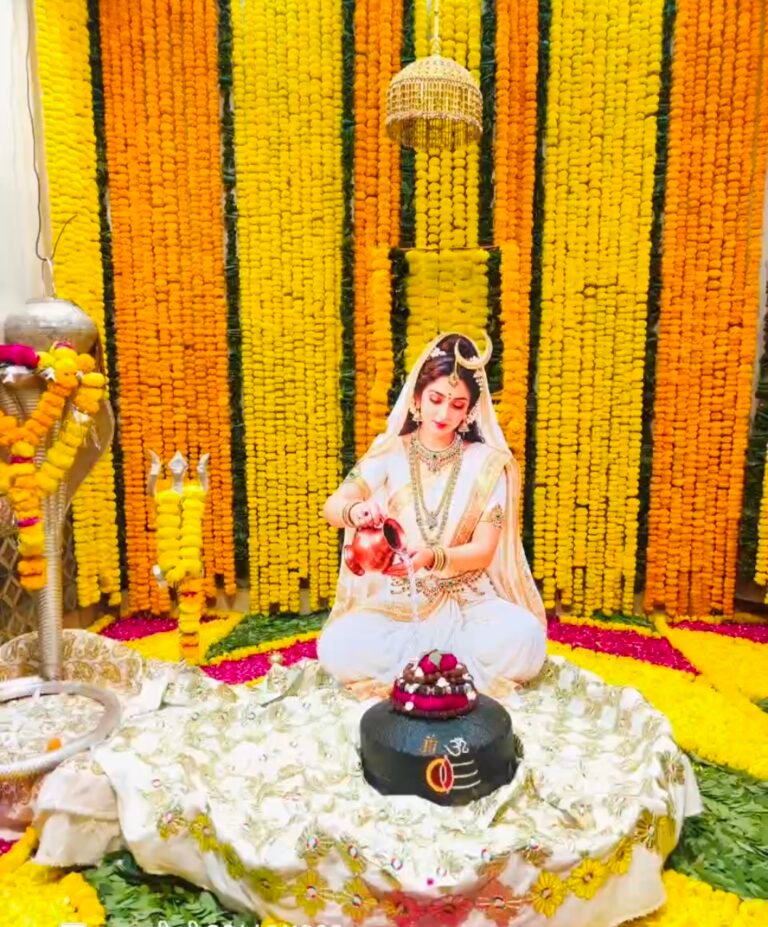 जिला रिपोर्ट सूरज चौहान आगर मालवा मध्य प्रदेश *बाबा बैजनाथ धाम में हुआ विशेष श्रृंगार, गूंजे जयकारे*