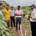 जिला रिपोर्टर सुरेश चौहान आगर मालवा मध्य प्रदेश ड्रिप-मल्चिंग से पपीते की खेती बनी मुनाफे का मॉडल, 700 पौधों से 8.5 लाख तक शुद्ध लाभ की उम्मीद कलेक्टर डॉ. मीना ने बोरखेड़ी पहुंचकर
