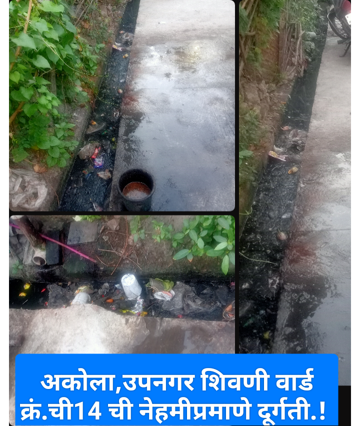 अकोला,उपनगर शिवणी नगरमे महीनो से नही हो रही सफाई,नागरिकों को साथ रोग का डर,संज्ञान ले अकोला नगरपालिका.?