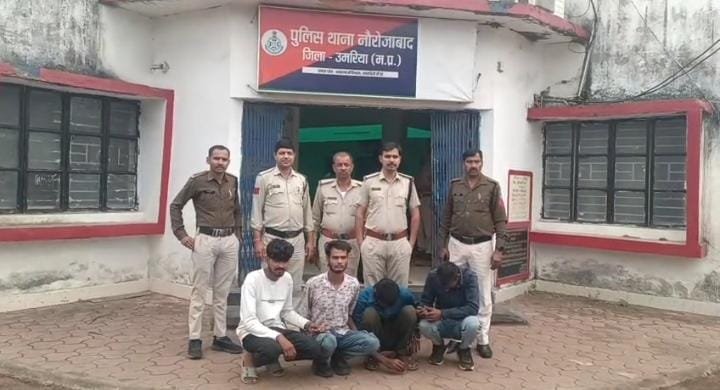 शासकीय हाईस्कूल नयागांव में हुई चोरी का नौरोजाबाद पुलिस ने किया पर्दाफाश* - उमरिया, मध्य प्रदेश