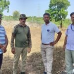 प्रतिनिधि के प्रयास से वन विभाग की टीम एक्शन मोड़ में कॉलोनी में जंगली सूअरों को पकड़ने के प्रयास शुरू।
