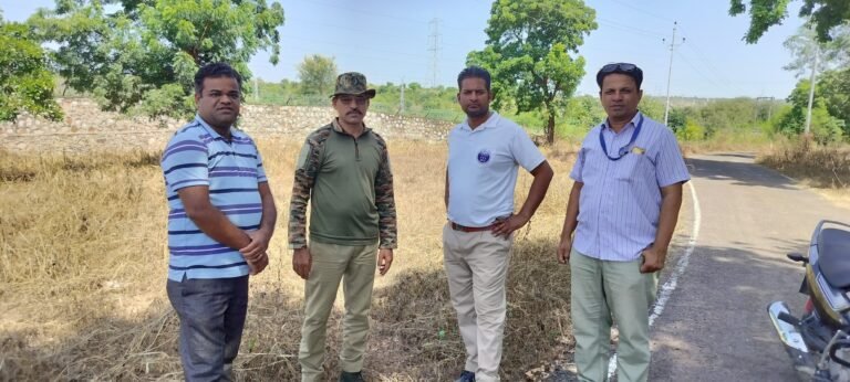 प्रतिनिधि के प्रयास से वन विभाग की टीम एक्शन मोड़ में कॉलोनी में जंगली सूअरों को पकड़ने के प्रयास शुरू।