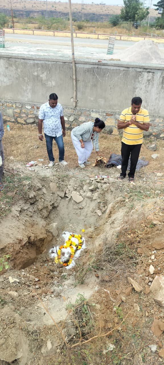 करंट से झुलसे वानर की मौत, सुविधायुक्त एनिमल शेल्टर होम की कमी आई सामने