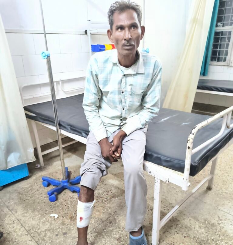 कांठ: तेंदुए ने साइकिल सवार ग्रामीण पर किया हमला, ग्रामीण घायल
