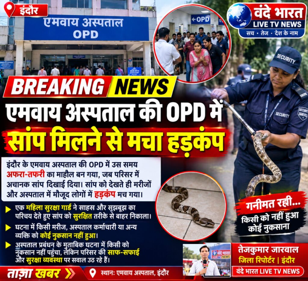 एमवाय अस्पताल की OPD में सांप मिलने से मचा हड़कंप 1 एमवाय अस्पताल की OPD में सांप मिलने से मचा हड़कंप - इन्दौर, मध्य प्रदेश