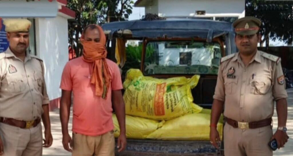कोल्हुई पुलिस की बड़ी कार्रवाई, यूरिया खाद और टेम्पू बरामद राजपुर मोड़ पर पुलिस ने पकड़ा टेम्पू, तीन बोरी यूरिया खाद बरामद 1 कोल्हुई पुलिस की बड़ी कार्रवाई, यूरिया खाद और टेम्पू बरामद राजपुर मोड़ पर पुलिस ने पकड़ा टेम्पू, तीन बोरी यूरिया खाद बरामद - MAHRAJGANJ, उत्तर प्रदेश