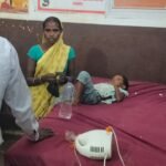 खेल-खेल में चार वर्षीय मासूम ने पकड़ लिया जहरीला करैत सांप