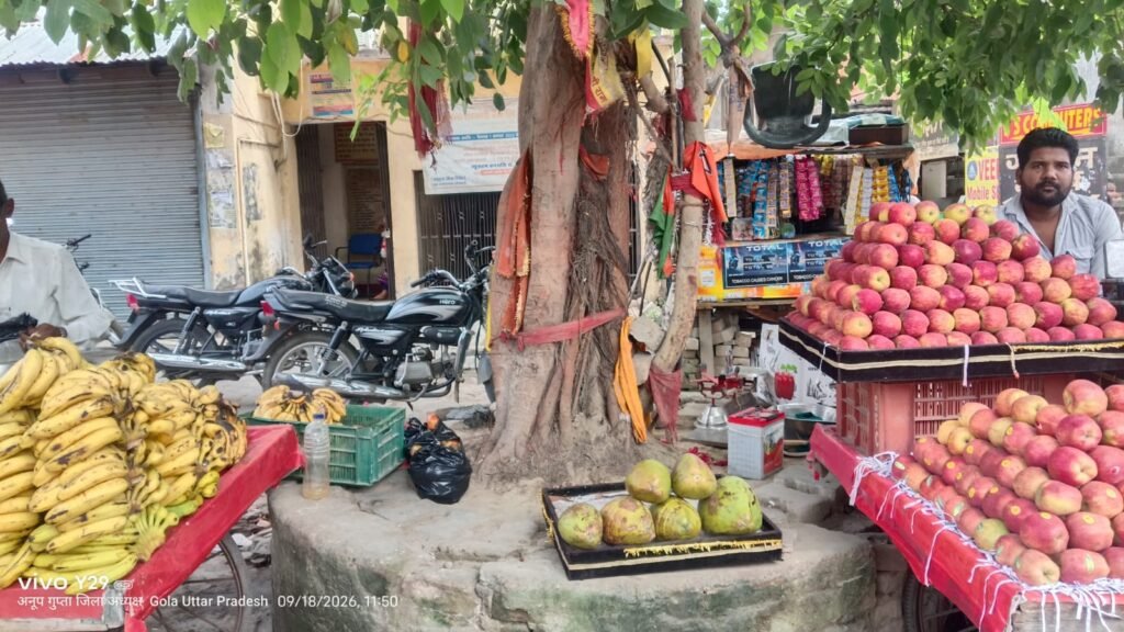 गोला में बरम बाबा स्थल पर अतिक्रमण और शराबियों के जमावड़े का आरोप, बजरंग दल ने उठाई ग्रिल व चबूतरा निर्माण की मांग 1 गोला में बरम बाबा स्थल पर अतिक्रमण और शराबियों के जमावड़े का आरोप, बजरंग दल ने उठाई ग्रिल व चबूतरा निर्माण की मांग - KHERI, उत्तर प्रदेश