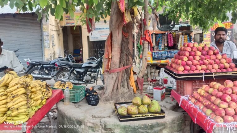गोला में बरम बाबा स्थल पर अतिक्रमण और शराबियों के जमावड़े का आरोप, बजरंग दल ने उठाई ग्रिल व चबूतरा निर्माण की मांग