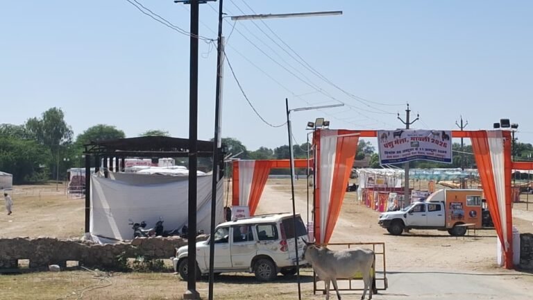 मावली नगरपालिका चामुंडा माँ पशु मेला
