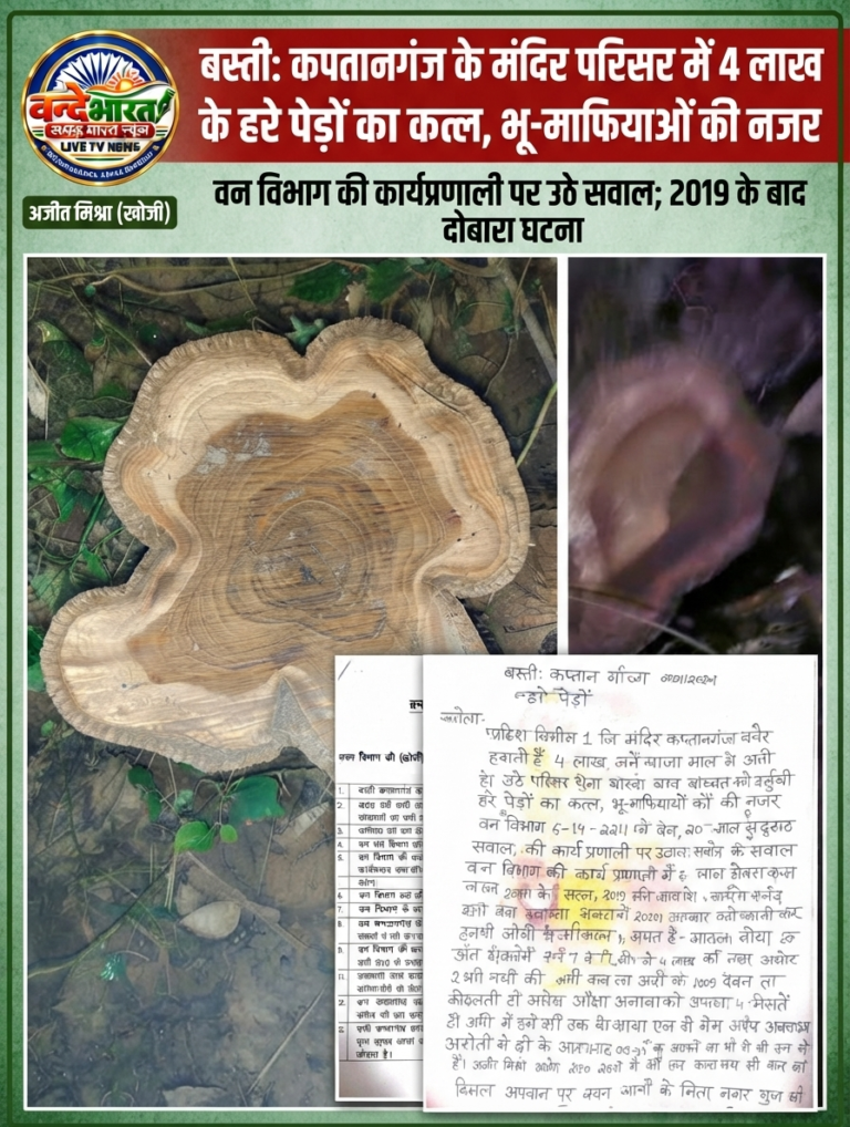 बस्ती: कप्तानगंज के मंदिर परिसर में हरियाली का कत्ल, 20 कीमती पेड़ साफ; वन विभाग मौन!