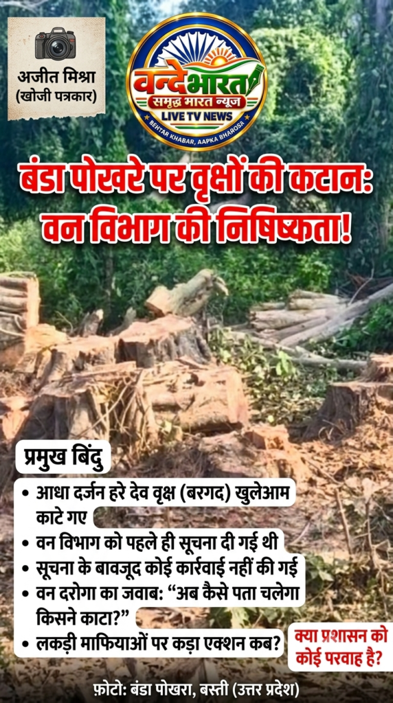 वन विभाग का 'अजीब फरमान': पेड़ कटते समय बताते तो पकड़ते, अब कैसे ढूँढें किसने काटा? - BASTI, उत्तर प्रदेश