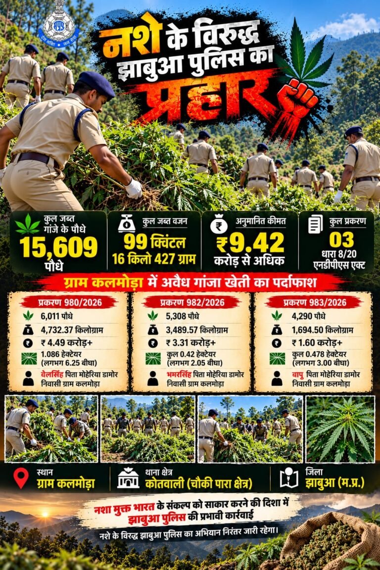 • ग्राम कलमोड़ा में अवैध गांजा खेती का पर्दाफाश — तीन प्रकरणों में 15,609 पौधे जब्त