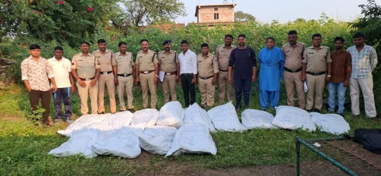 । • *थाना कालीदेवी एवं थाना पेटलावद क्षेत्र में अवैध गांजा खेती के विरुद्ध कार्रवाई, दो प्रकरणों में कुल 607 किलोग्राम गांजा जब्त (कीमती लगभग 60 लाख 30 हजार रुपये)*