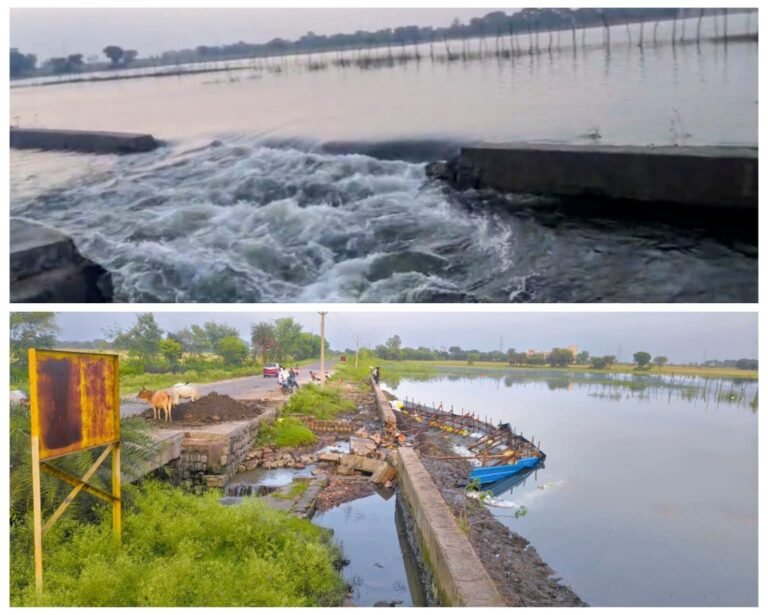 पाली बांध में फटाव से बहा पानी, किसानों में मचा हड़कंप,सूचना के बाद दोपहर में पहुंचा सिंचाई विभाग,