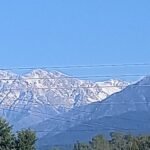 ।हिमाचल प्रदेश. र्धमशाला. कांगडां मैं हुई ताजा बर्फ बारी निचले इलाकों मैं बङी ठंड