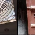 एक ही गांव के दो घरों में चोरी,सीसीटीवी में कैद हुई वारदात*