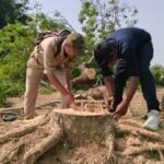 पर्यावरण और वन्य कानूनों की धज्जियां उड़ा रहे तस्कर: