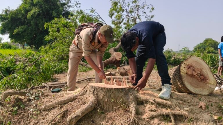 पर्यावरण और वन्य कानूनों की धज्जियां उड़ा रहे तस्कर: