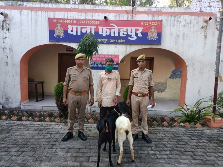 2 चोरी की बकरियों के साथ पुलिस के हत्थे चढ़ा यह आरोपी