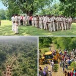 रीठी वन परिक्षेत्र में वन भूमि का अति क्रमण के प्रयास विफल