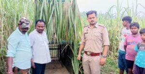 कांठ: रम्पुरा में तेंदुआ दिखाई देने से ग्रामीणों में दहशत का माहौल 2 IMG 20261004 WA01022