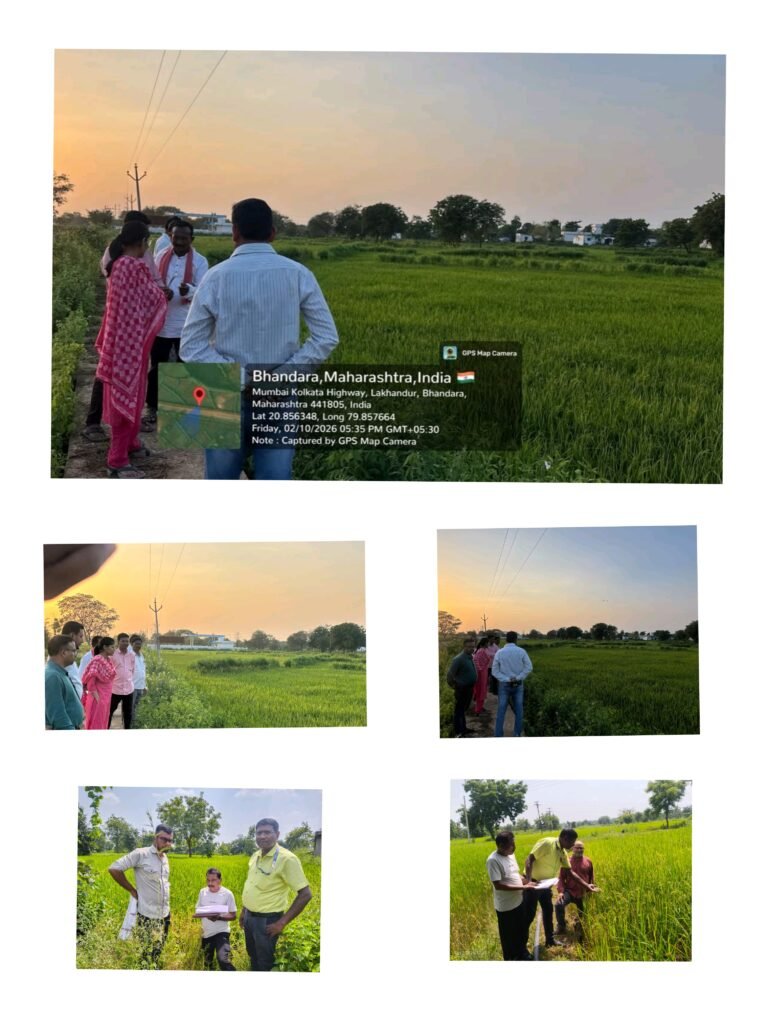 मौजा मुंडीपार तालुका साकोली येथील प्रत्यक्ष शेतावर जाऊन शेतकऱ्यांसमक्ष पिक पाहणी व पंचनामा करताना दुष्काळग्रस्त तालुक्यांतील पीक नुकसानीचे पंचनामे युद्ध पातळीवर जिल्हाधिकारी