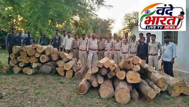 वीरांगना दुर्गावती टाइगर रिजर्व क्षेत्र में 52 नग सागौन की लकड़ी जब्त,वन विभाग ने सुहेला गांव में सर्च वारंट के आधार पर की कार्रवाई