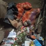 आजमगढ़: फूलपुर में कूड़े के पास रखा कोहड़ा, सब्जियों के रखरखाव पर उठे सवाल